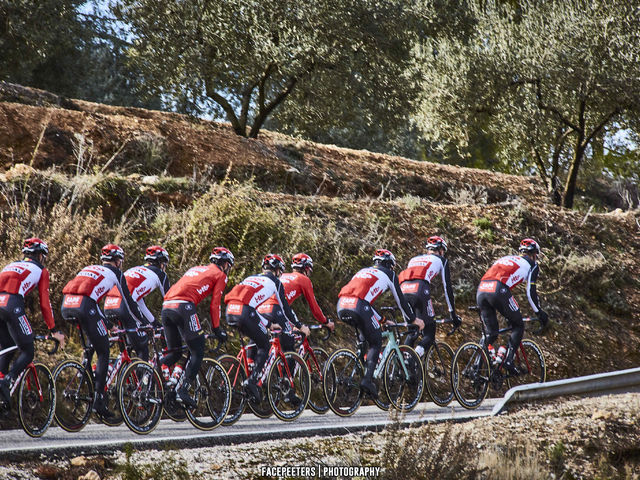 In the picture: Lotto Soudal at training camp